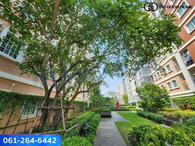 ขาย/เช่า คอนโดทิวลิป สแควร์ อ้อมน้อย พร้อมอยู่ราคาพิเศษ | Tulip Square @ Aomnoi