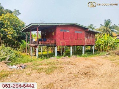 ขายบ้านเดี่ยวชั้นเดียวพร้อมที่ดิน 3 งาน 24 ตารางวา ตำบลยางซ้าย จังหวัดสุโขทัย ราคาพิเศษ!!