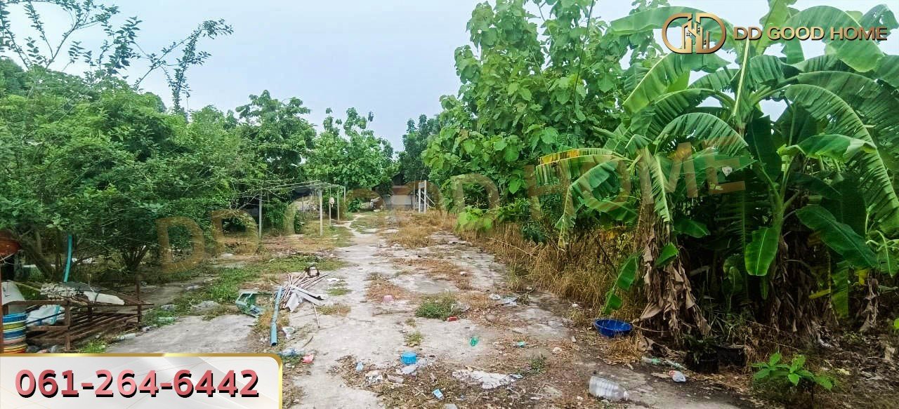 ที่ดินพร้อมสิ่งปลูกสร้าง ศรีราชา ชลบุรี ที่สวย ทำเลทอง 2 งาน 64 ตร.ว.-8