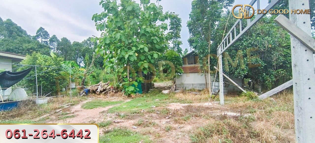 ที่ดินพร้อมสิ่งปลูกสร้าง ศรีราชา ชลบุรี ที่สวย ทำเลทอง 2 งาน 64 ตร.ว.-6