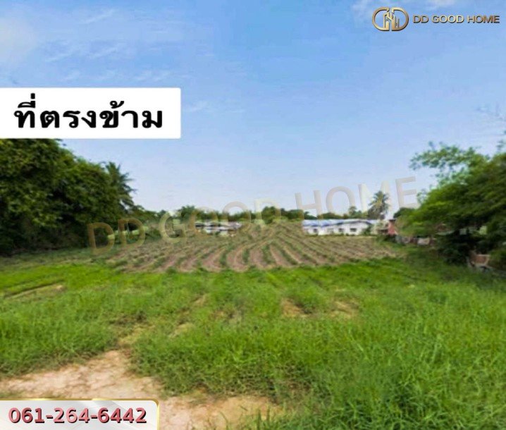 ที่ดินเปล่า 2 งาน 11.4 ตร.ว. ต.บางแก้ว อ.บรรพตพิสัย จ.นครสวรรค์-4