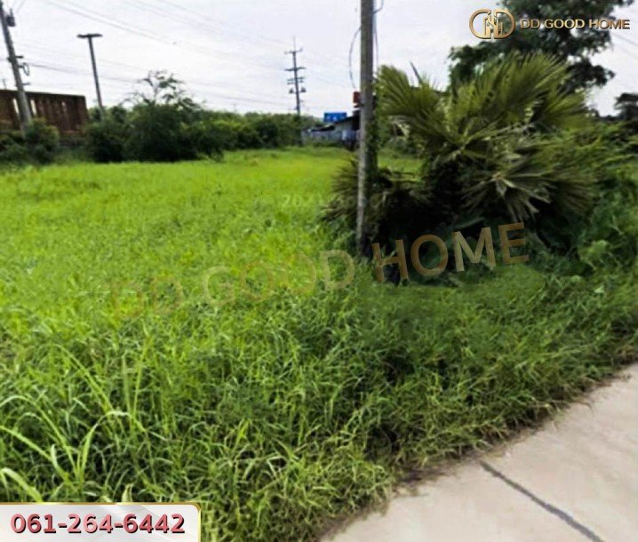 ที่ดินเปล่า 2 งาน 11.4 ตร.ว. ต.บางแก้ว อ.บรรพตพิสัย จ.นครสวรรค์-2