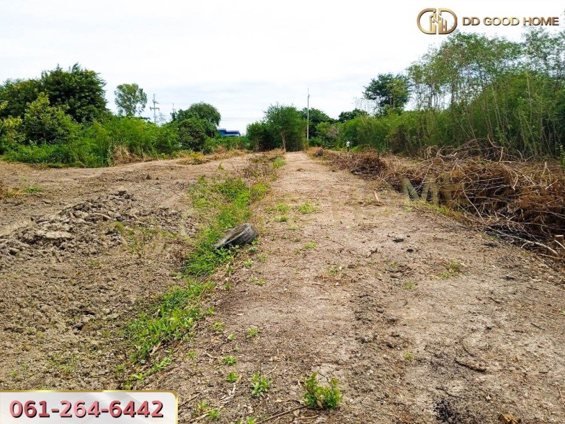 ที่ดินเปล่าถมแล้ว 3 ไร่ ต.บางเลน อ.บางเลน จ.นครปฐม-10