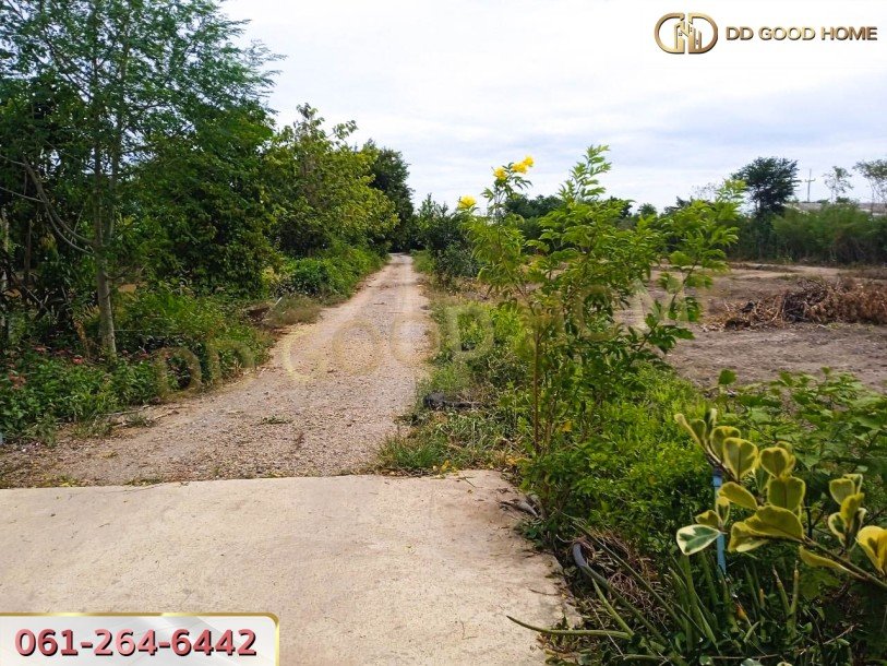 ที่ดินเปล่าถมแล้ว 3 ไร่ ต.บางเลน อ.บางเลน จ.นครปฐม-5