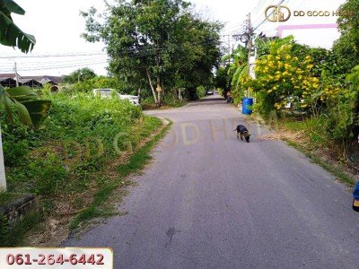 ที่ดินเปล่าถมแล้ว 109 ตร.ว. แขวง ฉิมพลี เขต ตลิ่งชัน จ.กรุงเทพมหานคร ใกล้รถไฟฟ้า