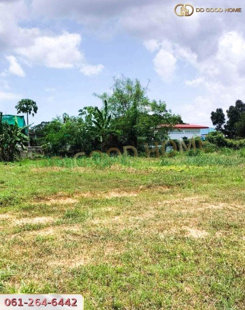 ขายที่ดินเปล่าถมแล้ว 124 ตร.ว. ที่สวย ทำเลทอง อ.บางละมุง จ.ชลบุรี-8