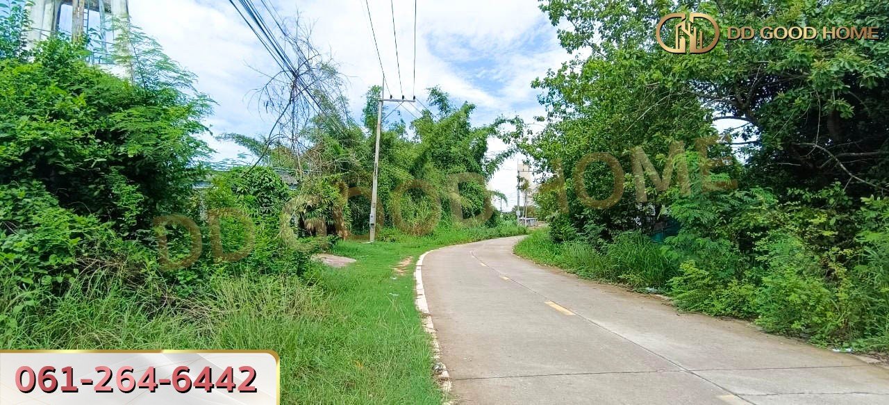 ขายที่ดินเปล่าถมแล้ว 124 ตร.ว. ที่สวย ทำเลทอง อ.บางละมุง จ.ชลบุรี-6