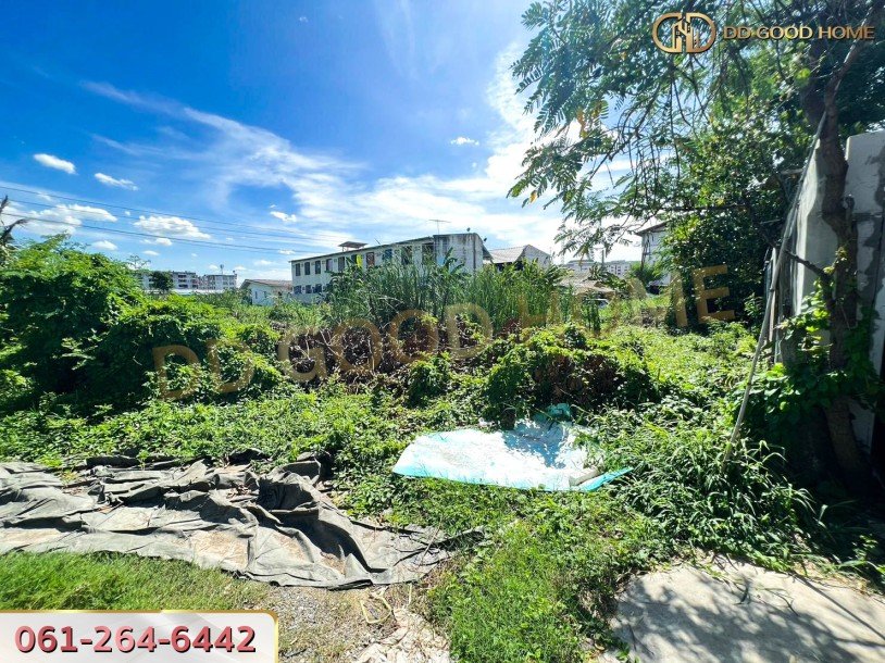 ที่ดินเปล่ายังไม่ถมขนาด 114 ตร.ว. ในซอยโกสุมรวมใจ ใกล้วัดเวฬุวนาราม(วัดไผ่เขียว)-2