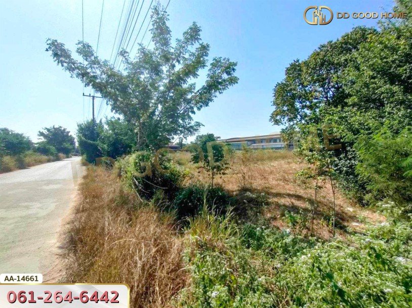 ที่ดิน อ.เมืองนครราชสีมา 3 ไร่ 349 ตร.ว. นิคมอุตสาหกรรมสุรนารี หัวทะเล นครราชสีมา-3