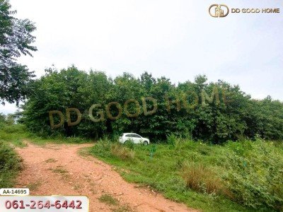 ที่ดินขนาด 14 ไร่ 314 ตร.ว. ใกล้โรงเรียนบ้านท่ามะริด ท่ายาง เพชรบุรี