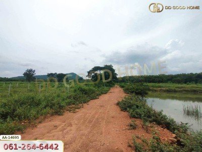 ที่ดินขนาด 14 ไร่ 314 ตร.ว. ใกล้โรงเรียนบ้านท่ามะริด ท่ายาง เพชรบุรี