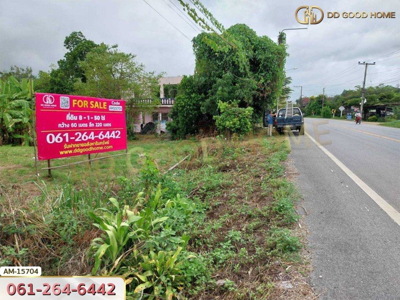 ที่ดิน 8 ไร่ 150 ตร.ว. บ้านป่าคา ติดถนนทางหลวง หางดง เชียงใหม่-2