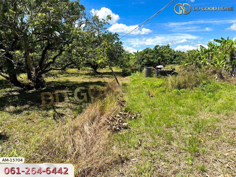 ที่ดิน 8 ไร่ 150 ตร.ว. บ้านป่าคา ติดถนนทางหลวง หางดง เชียงใหม่-4