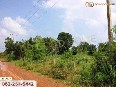 ที่ดิน อ.ด่านมะขามเตี้ย 4 ไร่ 399.7 ตร.ว. หมู่บ้านยุติธรรม ถ.แม่น้ำแม่กรอง กาญจนบุรี