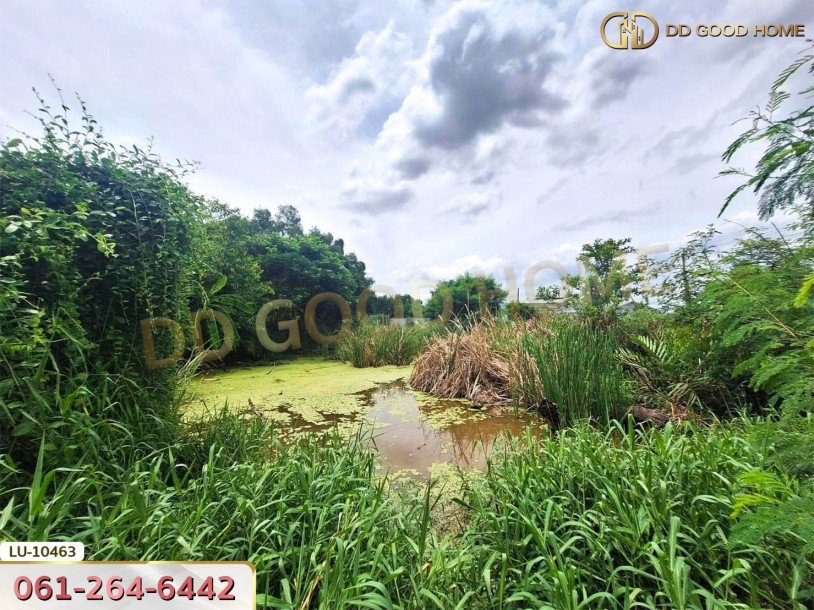 ที่ดินเปล่า 121 ตร.ว. ซอยร่วมมิตรพัฒนา แยก 6 บางเขน กรุงเทพ-9