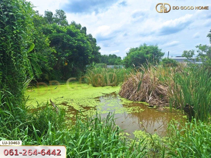 ที่ดินเปล่า 121 ตร.ว. ซอยร่วมมิตรพัฒนา แยก 6 บางเขน กรุงเทพ-8