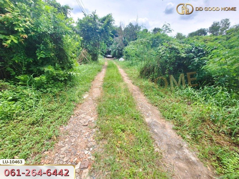 ที่ดินเปล่า 121 ตร.ว. ซอยร่วมมิตรพัฒนา แยก 6 บางเขน กรุงเทพ-7