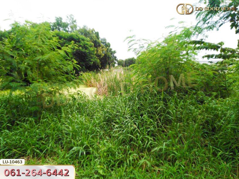 ที่ดินเปล่า 121 ตร.ว. ซอยร่วมมิตรพัฒนา แยก 6 บางเขน กรุงเทพ-5