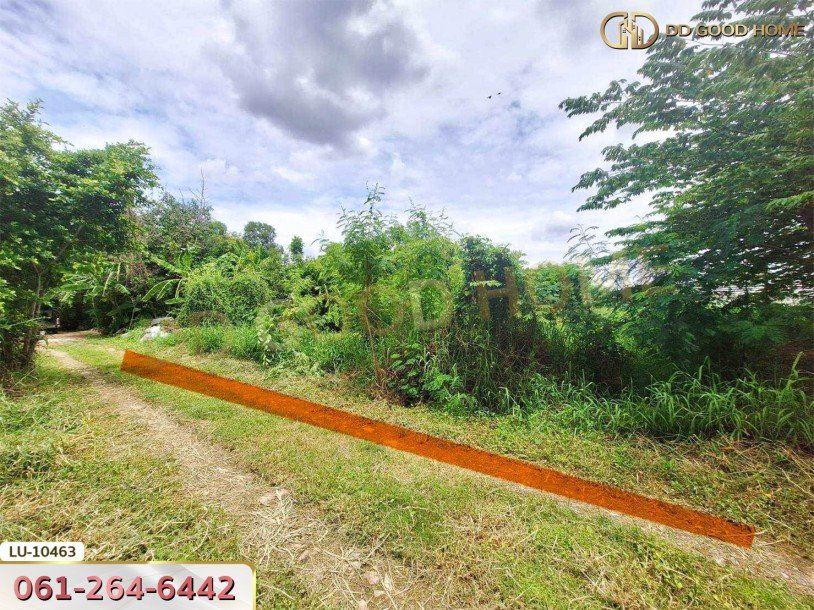 ที่ดินเปล่า 121 ตร.ว. ซอยร่วมมิตรพัฒนา แยก 6 บางเขน กรุงเทพ-3