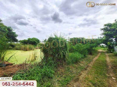 ที่ดินเปล่า 121 ตร.ว. ซอยร่วมมิตรพัฒนา แยก 6 บางเขน กรุงเทพ