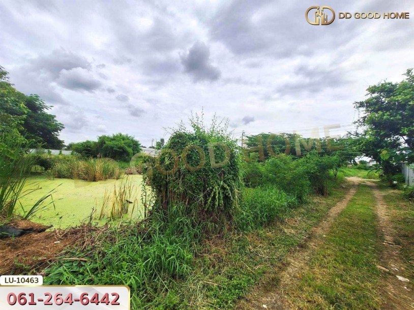 ที่ดินเปล่า 121 ตร.ว. ซอยร่วมมิตรพัฒนา แยก 6 บางเขน กรุงเทพ-2