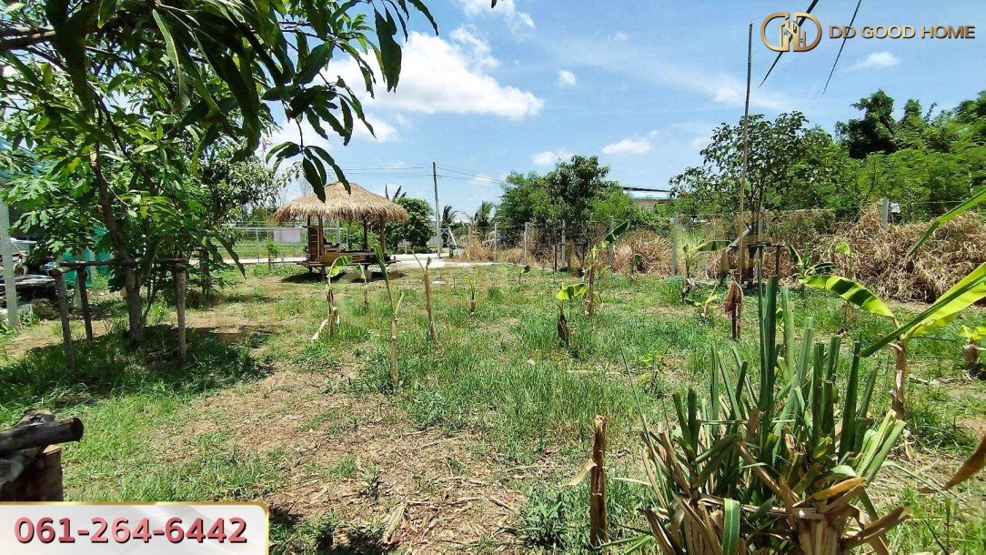 ที่ดินเปล่าถมแล้ว 136 ตร.ว. ต.นราภิรมย์ อ.บางเลน-9