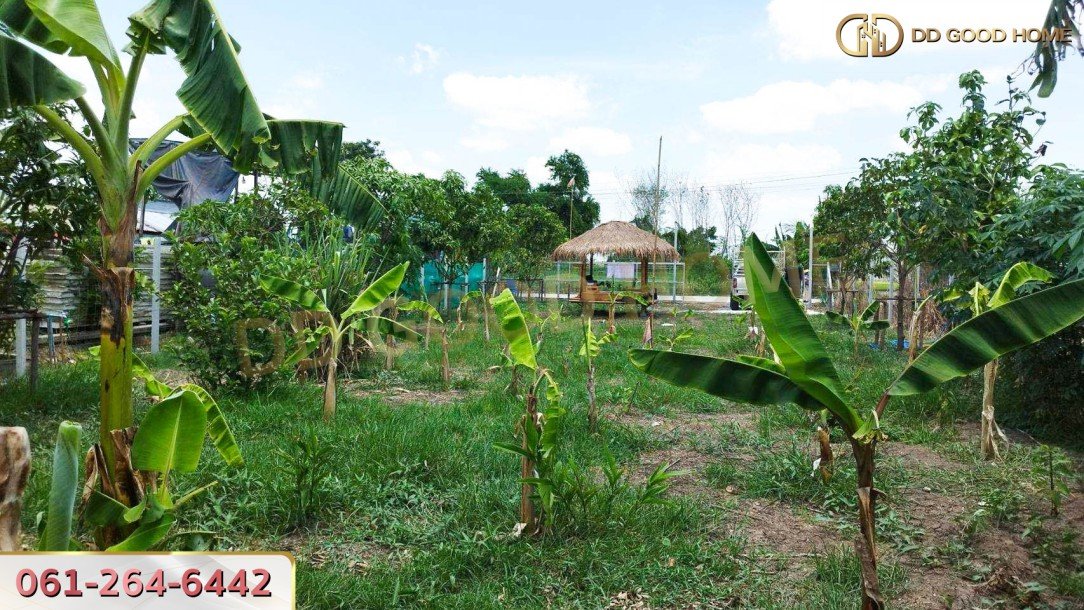 ที่ดินเปล่าถมแล้ว 136 ตร.ว. ต.นราภิรมย์ อ.บางเลน-8