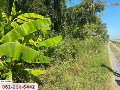 ที่ดิน อ.ลำลูกกา 1 ไร่ 8 ตร.ว. ปทุมธานี