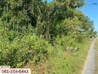 ที่ดิน อ.ลำลูกกา 1 ไร่ 8 ตร.ว. ปทุมธานี