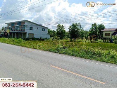 ที่ดินพร้อมสิ่งปลูกสร้าง อ.ร่อนพิบูลย์ 300 ตร.ว. นครศรีธรรมราช