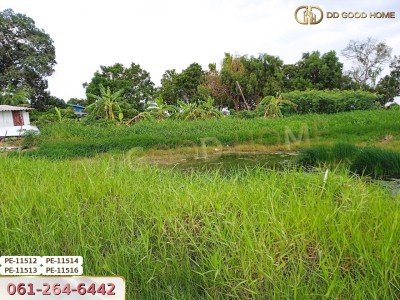 ที่ดินเปล่า 100 ตร.ว. ในซอยสุวินทวงศ์ 28 ต.แสนแสบ อ.มีนบุรี