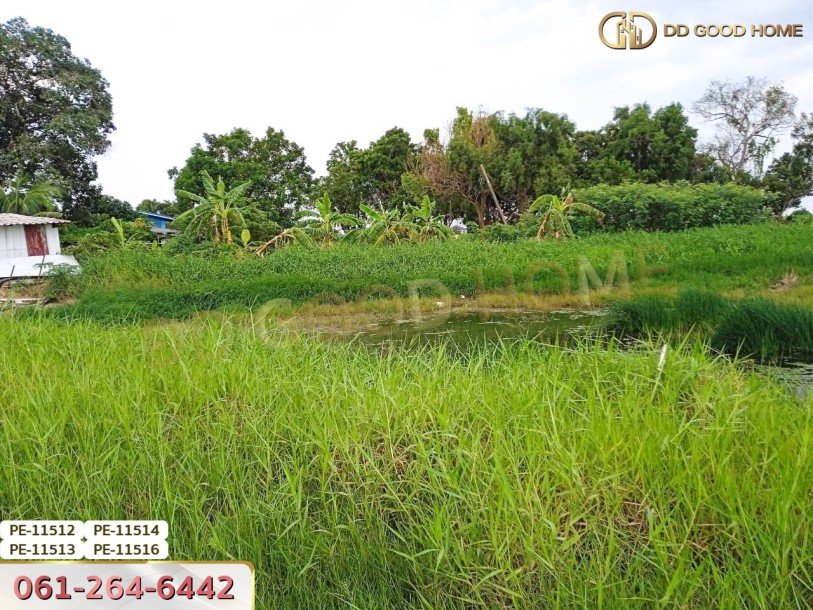 ที่ดินเปล่า 100 ตร.ว. ในซอยสุวินทวงศ์ 28 ต.แสนแสบ อ.มีนบุรี-6