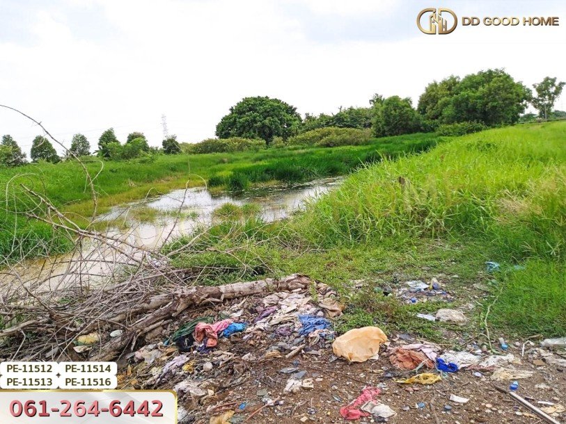 ที่ดินเปล่า 100 ตร.ว. ในซอยสุวินทวงศ์ 28 ต.แสนแสบ อ.มีนบุรี-5