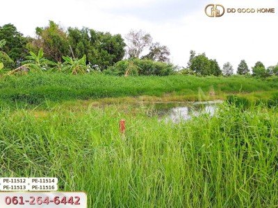 ที่ดินเปล่า 100 ตร.ว. ในซอยสุวินทวงศ์ 28 ต.แสนแสบ อ.มีนบุรี