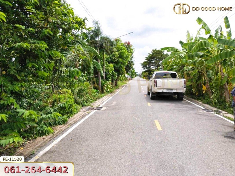 ที่ดิน 100 ตร.ว. ซ.สัมพันธ์ คลอง 8 ถ.รังสิต-นครนายก ปทุมธานี-3