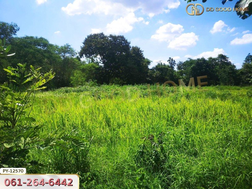 ที่ดิน 310.3 ตร.ว.ใกล้ ถ.ราชสีมา-โชคชัย นครราชสีมา-3