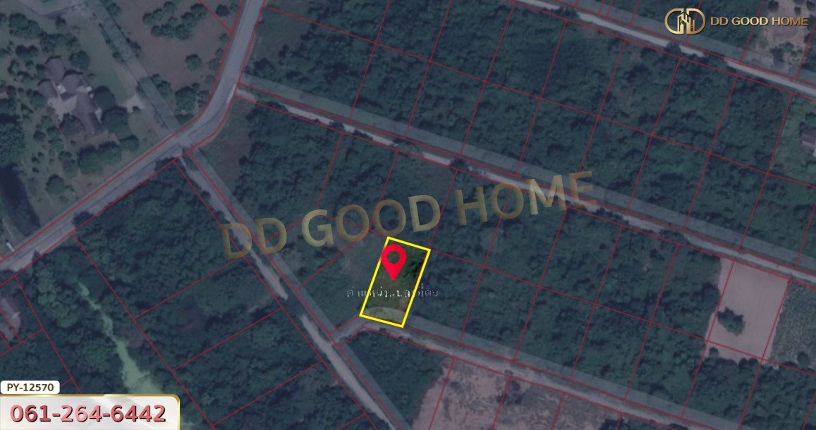 ที่ดิน 310.3 ตร.ว.ใกล้ ถ.ราชสีมา-โชคชัย นครราชสีมา-4