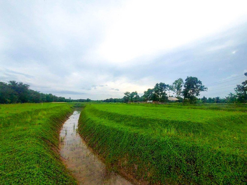 ที่ดินเปล่า 2 ไร่ 190 ตร.ว. ต.คลองขวาง อ.ไทรน้อย-6