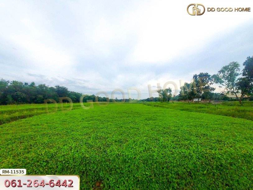 ที่ดินเปล่า 2 ไร่ 190 ตร.ว. ต.คลองขวาง อ.ไทรน้อย-5