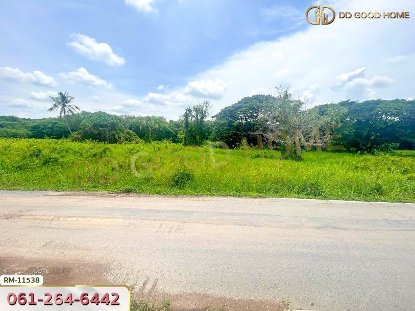 ที่ดินเปล่า 82 ตร.ว. ต.มหาสวัสดิ์ อ.พุทธมณฑล-4