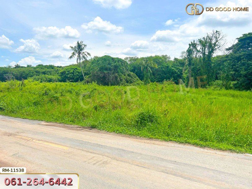 ที่ดินเปล่า 82 ตร.ว. ต.มหาสวัสดิ์ อ.พุทธมณฑล-2