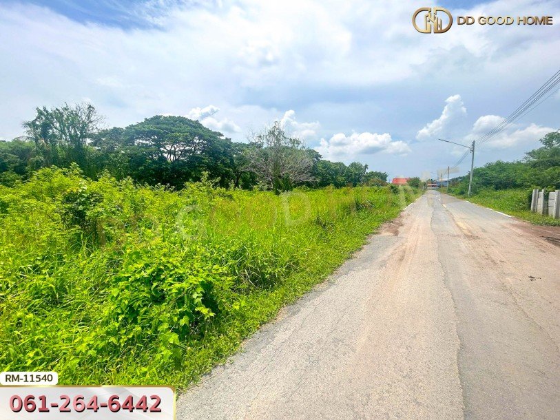 ที่ดินเปล่า 82 ตร.ว. ต.มหาสวัสดิ์ อ.พุทธมณฑล ที่พร้อมสร้างบ้าน-3