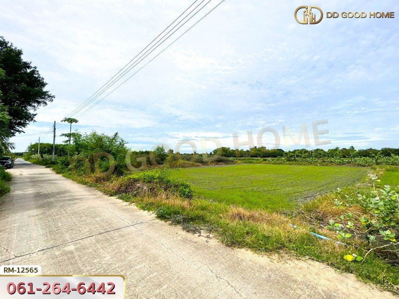 ที่ดินเปล่า 198.9 ตร.ว. ต.หนองเพรางาย อ.ไทรน้อย-7