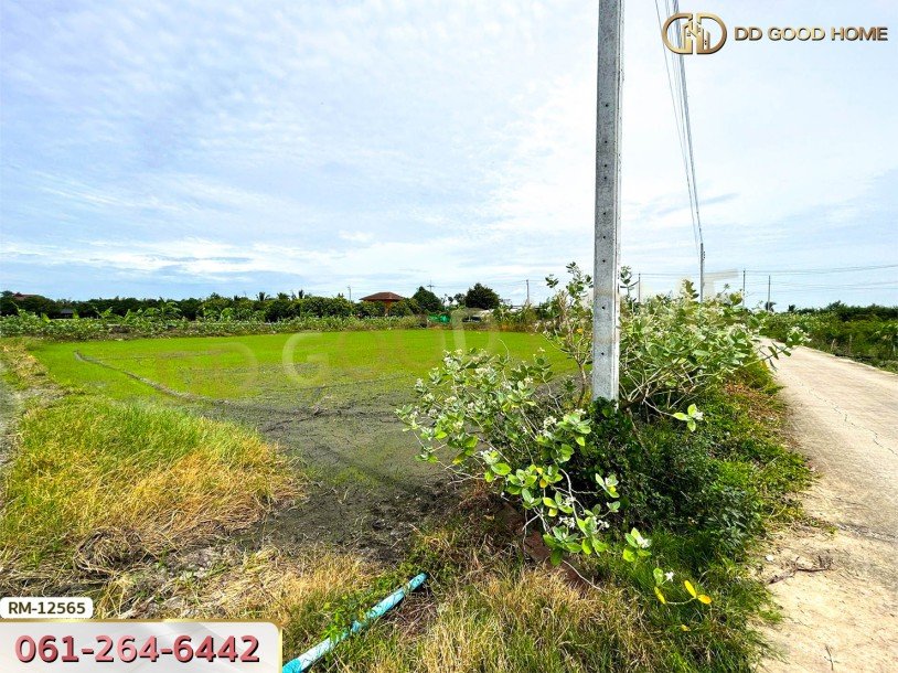 ที่ดินเปล่า 198.9 ตร.ว. ต.หนองเพรางาย อ.ไทรน้อย-6