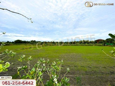 ที่ดินเปล่า 198.9 ตร.ว. ต.หนองเพรางาย อ.ไทรน้อย