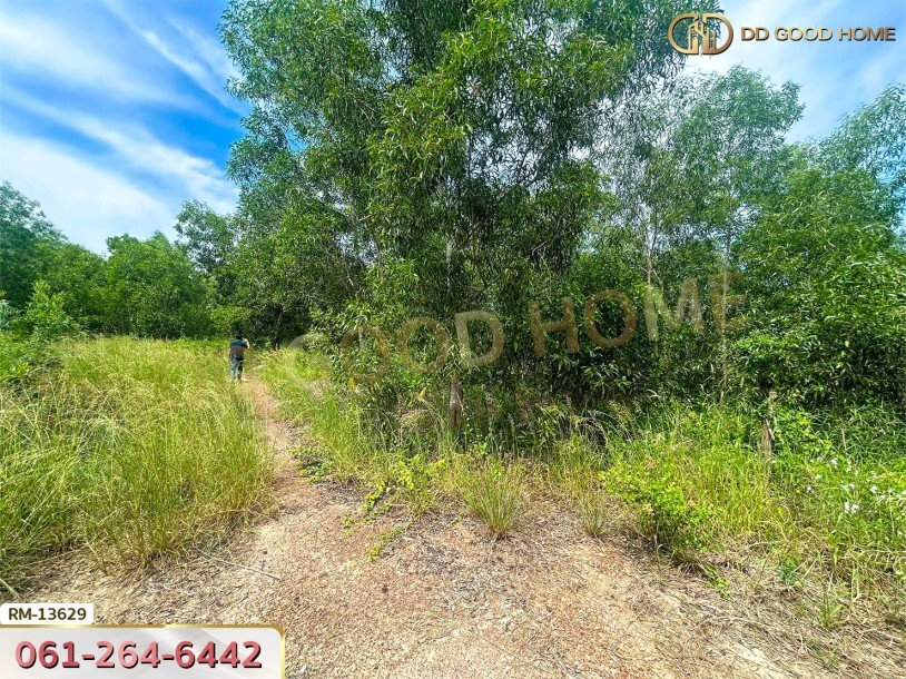 ที่ดิน 401 ตร.ว. โครงการสนามกอล์ฟบางปะกงริเวอรีไซด์ ฉะเชิงเทรา-5