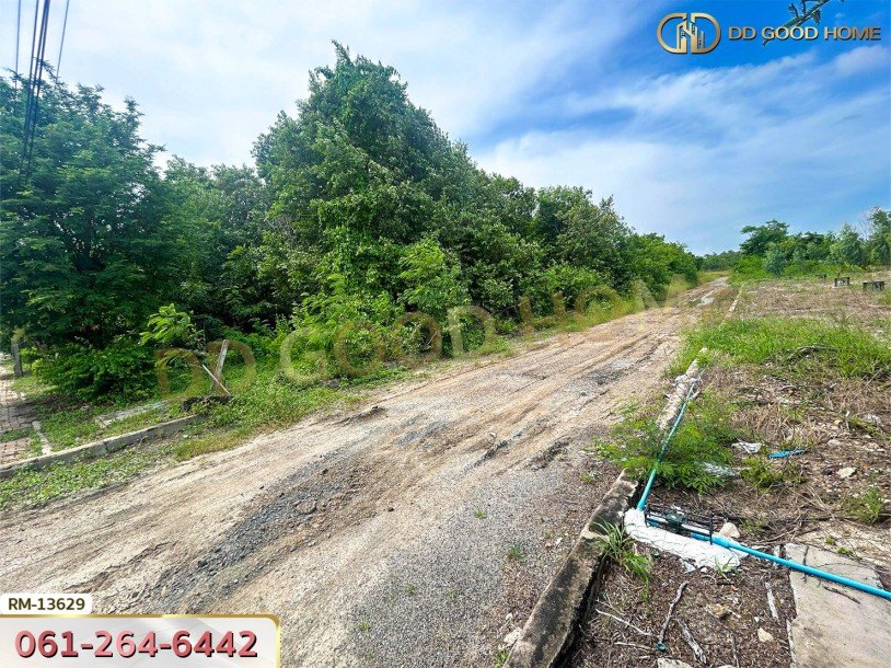 ที่ดิน 401 ตร.ว. โครงการสนามกอล์ฟบางปะกงริเวอรีไซด์ ฉะเชิงเทรา-4