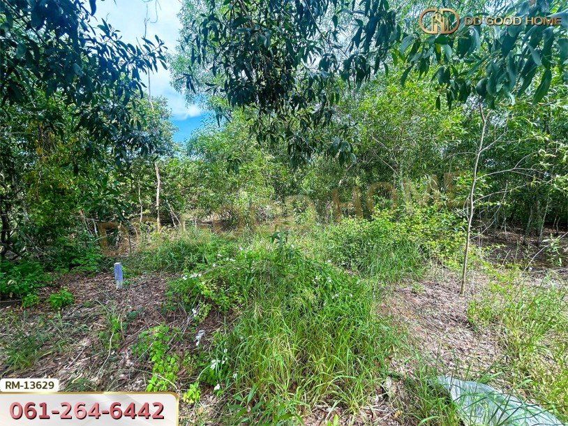 ที่ดิน 401 ตร.ว. โครงการสนามกอล์ฟบางปะกงริเวอรีไซด์ ฉะเชิงเทรา-2