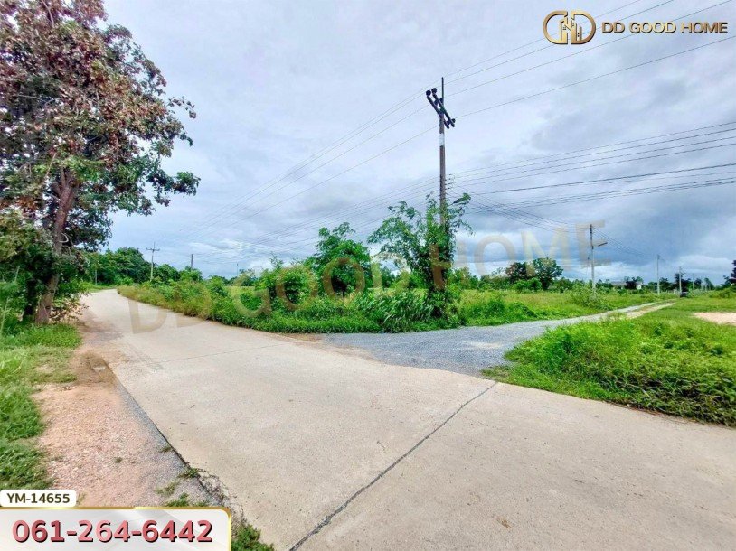 ที่ดินขนาด 4 ไร่ ใกล้วัดมาบพะยอม สุพรรณบุรี-5