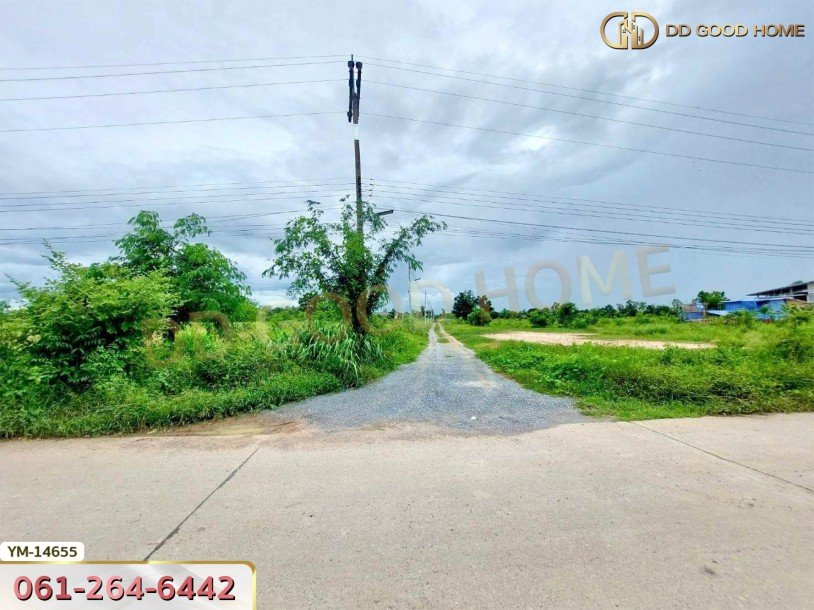 ที่ดินขนาด 4 ไร่ ใกล้วัดมาบพะยอม สุพรรณบุรี-4